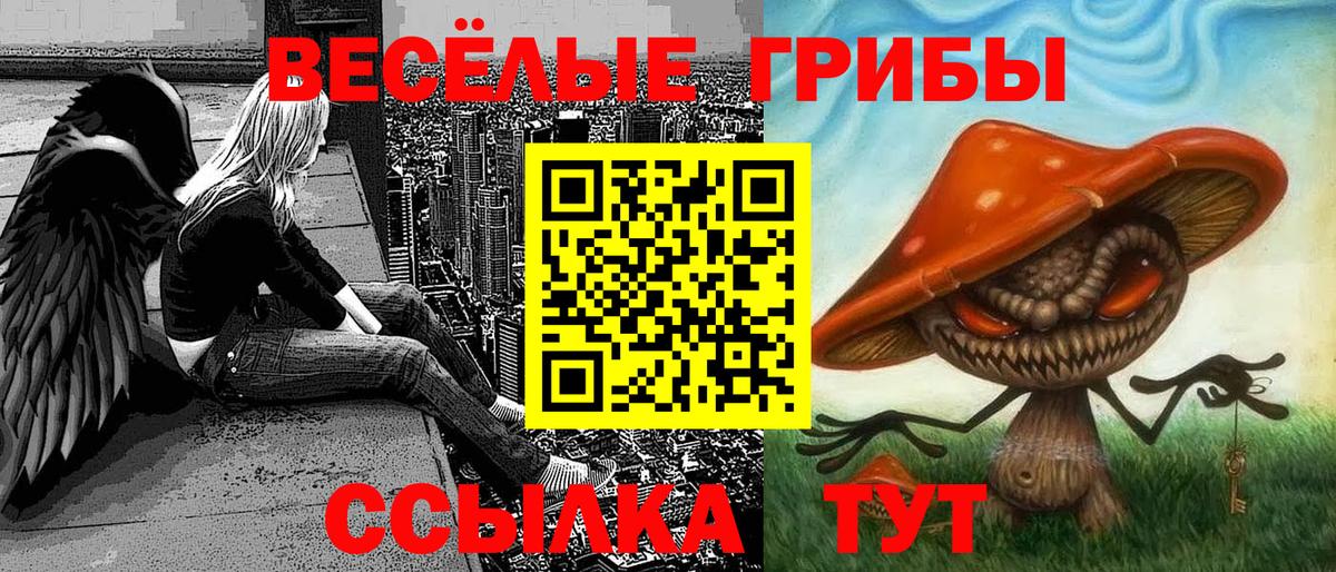 Галлюциногенные грибы мицелий  где купить наркоту  Химки  Галлюциногенные грибы MAGIC MUSHROOMS  Вход с VPN 